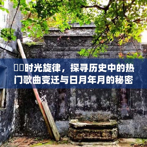时光旋律，热门歌曲变迁与日月年月的秘密探寻