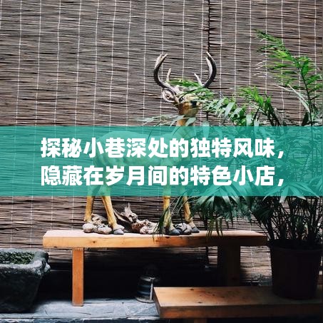 探秘小巷深处的特色小店，岁月韵味与抖音热门背后的故事揭秘！