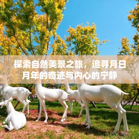 探寻自然奥秘之旅，月日月年的奇迹与心灵宁静的追求