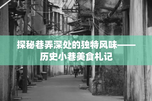 历史小巷深处的独特风味，美食札记探秘之旅