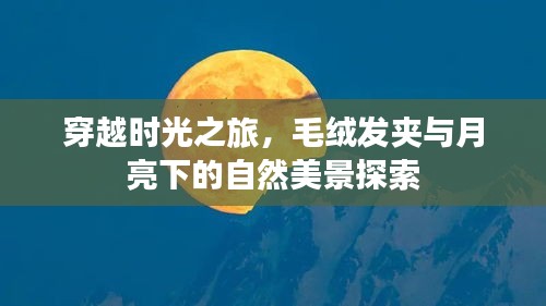 时光穿越之旅，毛绒发夹与月下自然美景的探险之旅