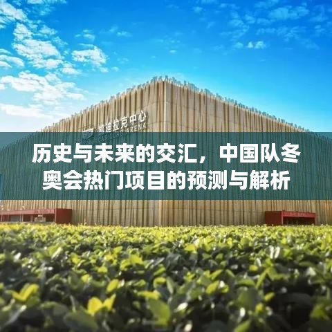历史与未来的交汇，中国冬奥会热门项目预测与解析