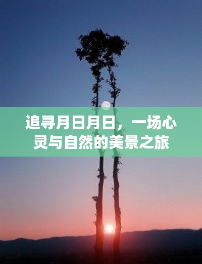 追寻月日月日，心灵与自然的绝美之旅