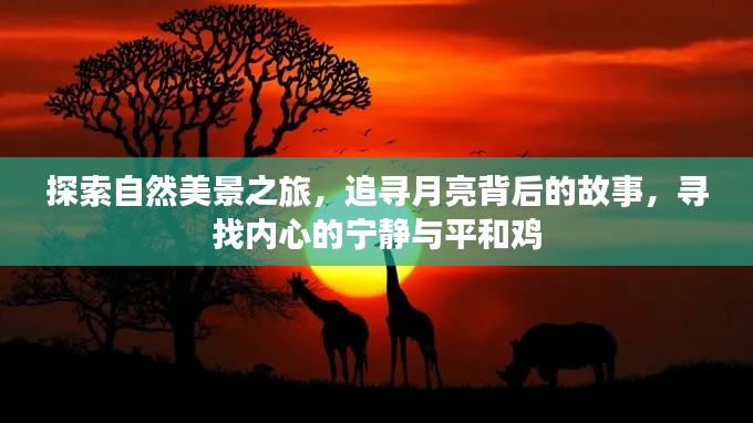 追寻月亮背后的故事，自然美景之旅，探寻内心宁静与平和的旅程
