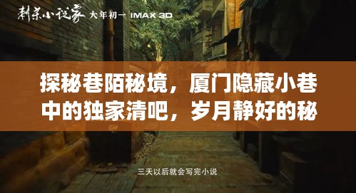 厦门巷陌秘境，隐藏小巷中的独家清吧，探寻岁月静好的秘密角落