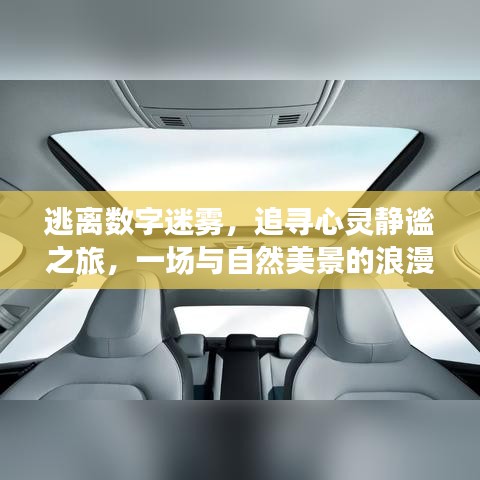 逃离数字迷雾，心灵静谧之旅与自然的浪漫邂逅