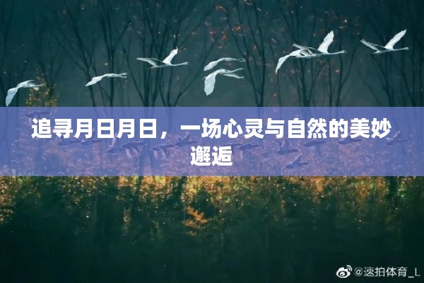 月日月日，心灵与自然的邂逅之旅