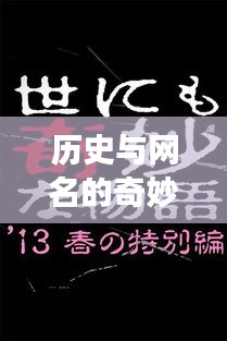 历史与网名的交汇，独特夫妻网名背后的搞笑与温馨故事