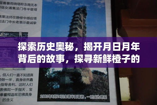 探寻历史奥秘，月日月年与新鲜橙子的历史演变之旅