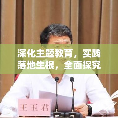深化主题教育，实践落地生根，全面探究主题教育落实之道