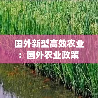 国外新型高效农业：国外农业政策 