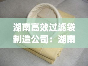湖南高效过滤袋制造公司：湖南pps滤袋 