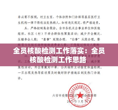 全员核酸检测工作落实：全员核酸检测工作思路 