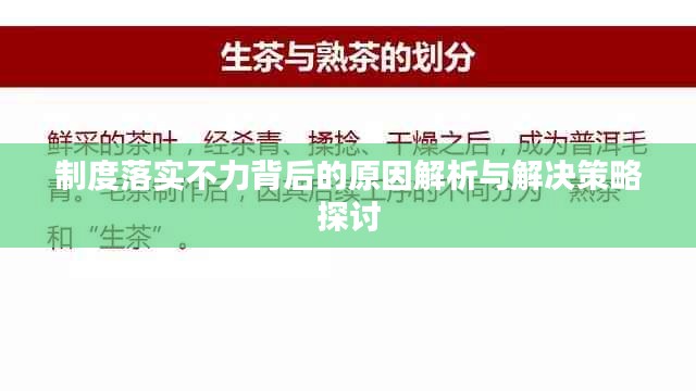 制度落实不力背后的原因解析与解决策略探讨
