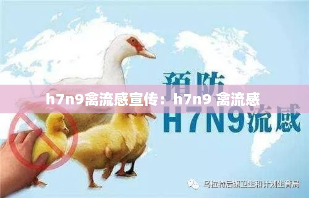h7n9禽流感宣传：h7n9 禽流感 
