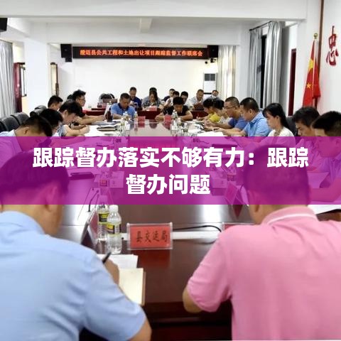 跟踪督办落实不够有力：跟踪督办问题 