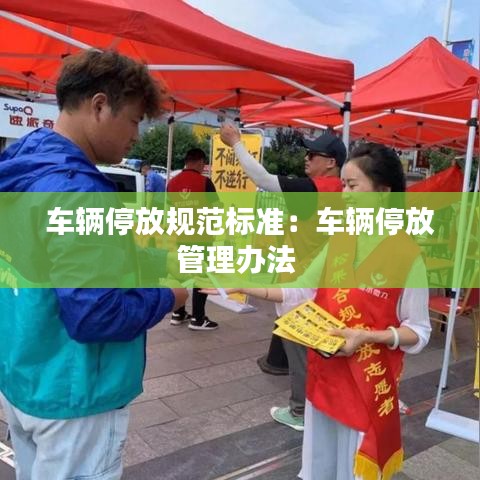 车辆停放规范标准：车辆停放管理办法 