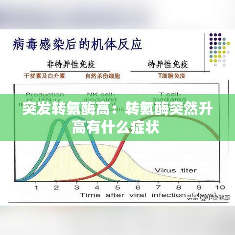 突发转氨酶高：转氨酶突然升高有什么症状 