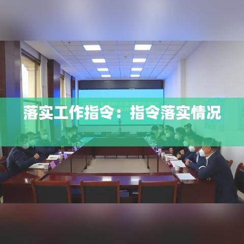落实工作指令：指令落实情况 