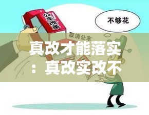 真改才能落实：真改实改不够到位方面存在的问题 