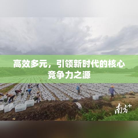 高效多元，引领新时代的核心竞争力之源