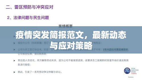 疫情突发简报范文，最新动态与应对策略