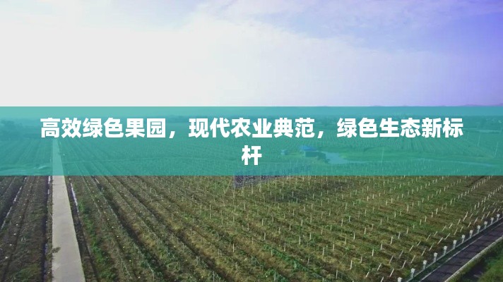 尽善尽美 第2页