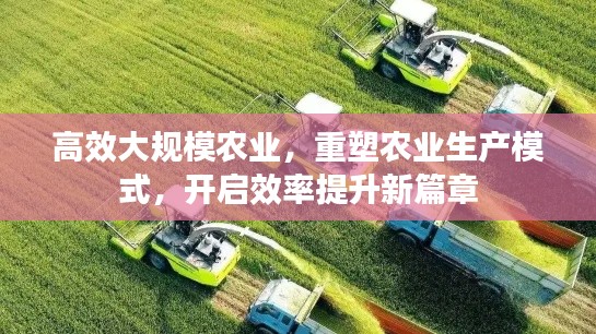 高效大规模农业，重塑农业生产模式，开启效率提升新篇章