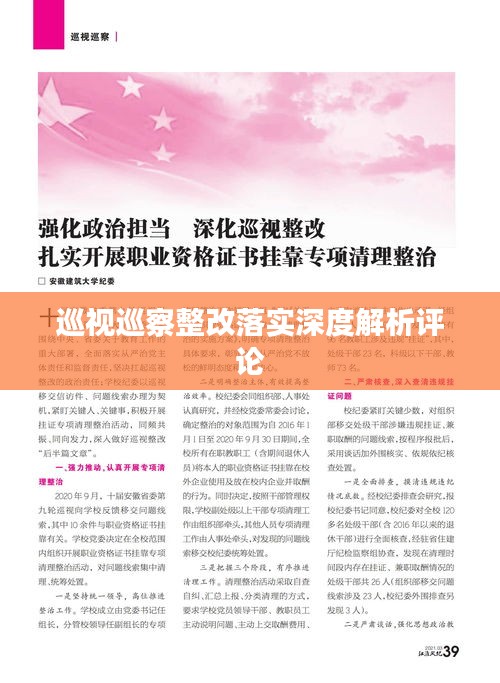 巡视巡察整改落实深度解析评论