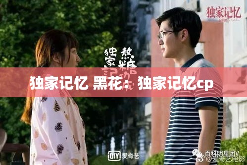 独家记忆 黑花：独家记忆cp 
