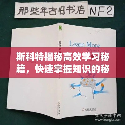 斯科特揭秘高效学习秘籍，快速掌握知识的秘诀书籍分享