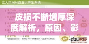 皮损不断增厚深度解析，原因、影响与应对之道
