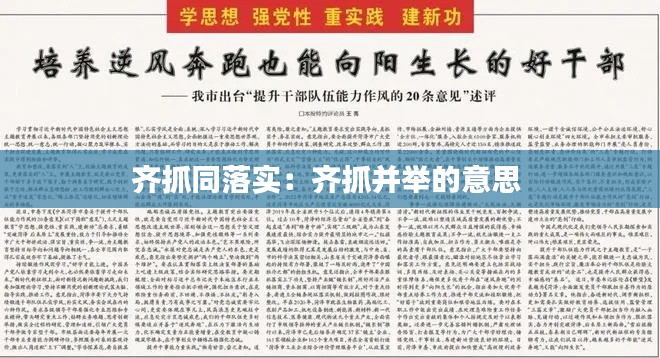 齐抓同落实：齐抓并举的意思 