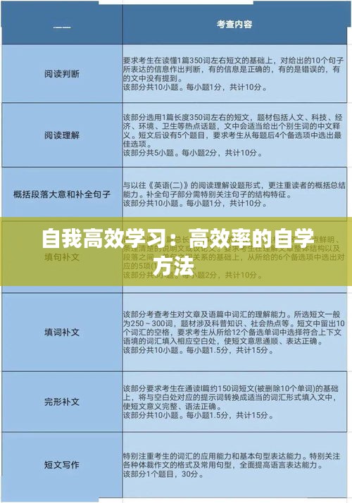 自我高效学习：高效率的自学方法 