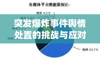 突发爆炸事件舆情处置的挑战与应对策略