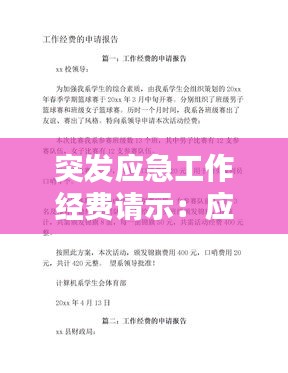 不飞则已 第3页