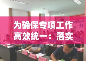 为确保专项工作高效统一：落实专项工作确保 