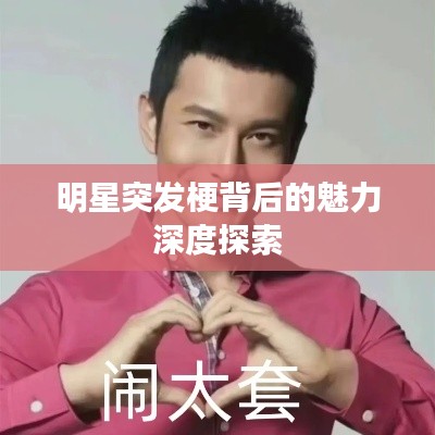 明星突发梗背后的魅力深度探索