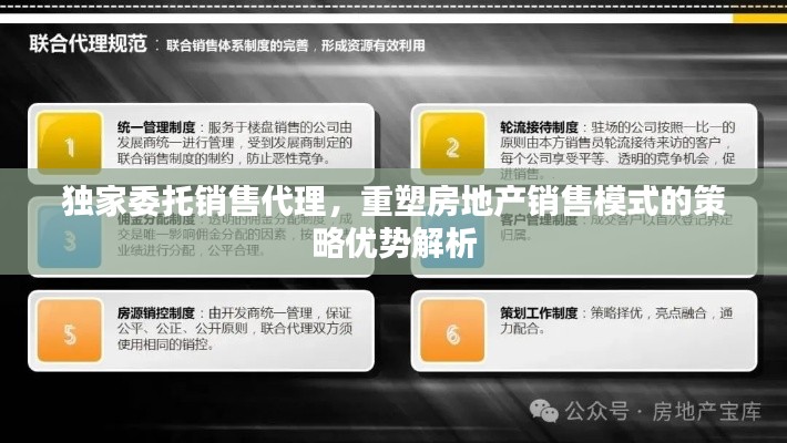 独家委托销售代理，重塑房地产销售模式的策略优势解析