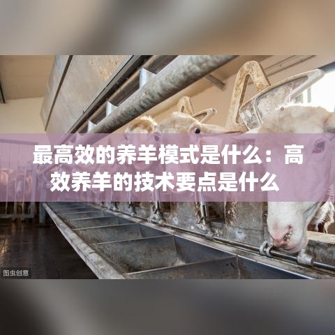 最高效的养羊模式是什么：高效养羊的技术要点是什么 