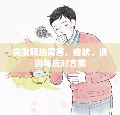 突发肠热胃寒，症状、诱因与应对方案