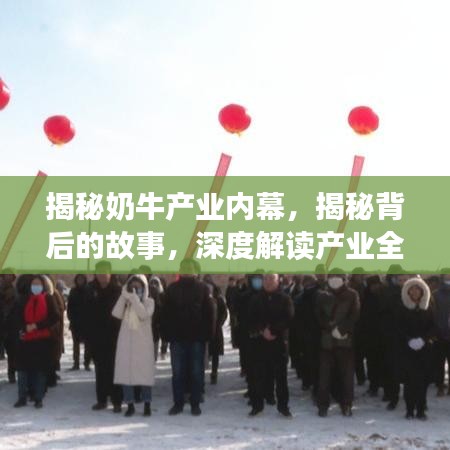 揭秘奶牛产业内幕，揭秘背后的故事，深度解读产业全貌