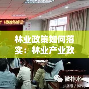 林业政策如何落实：林业产业政策 