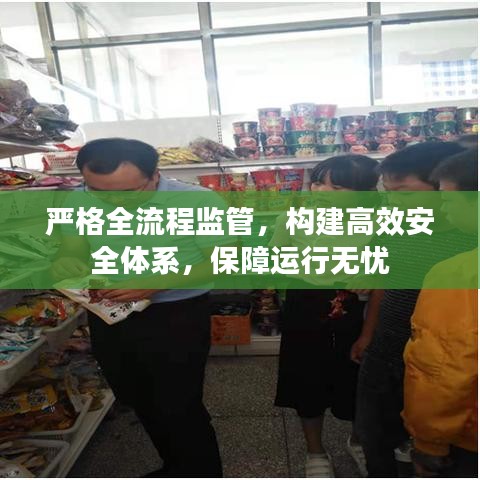 严格全流程监管，构建高效安全体系，保障运行无忧