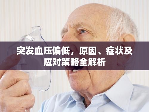 一本正经 第3页