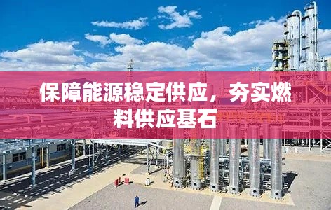 保障能源稳定供应，夯实燃料供应基石