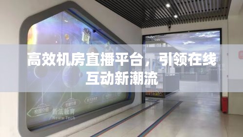 高效机房直播平台，引领在线互动新潮流