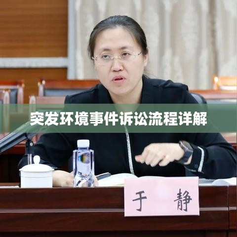突发环境事件诉讼流程详解