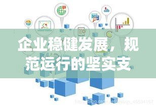 企业稳健发展，规范运行的坚实支撑力量