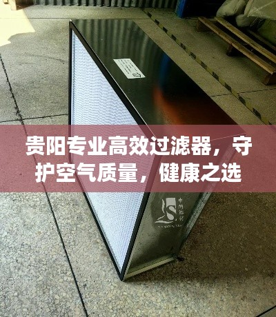 贵阳专业高效过滤器，守护空气质量，健康之选